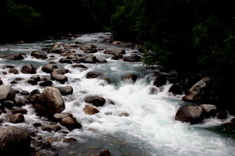 070404 Hope Hatcher Montana Creek (10122)